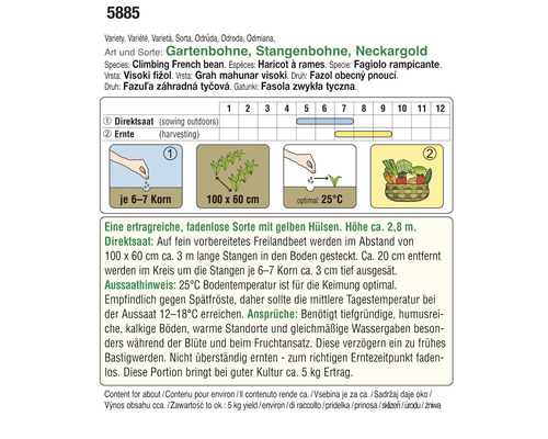 Informationen zur Aussaat von Gartenbohnen, Stangenbohnen der Sorte Neckargold