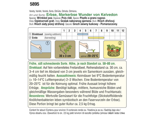 Informationen zur Aussaat und Ernte der Markerbse Wunder von Kelvedon