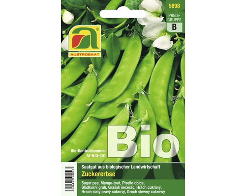 Gemüsesamen Austrosaat Bio Zuckererbse 'Norli'