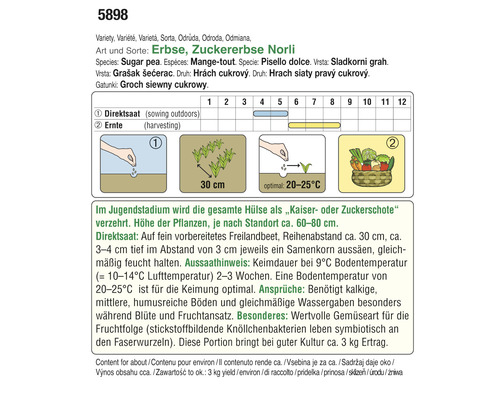 Informationen zur Aussaat und Ernte von Zuckererbsen Norli