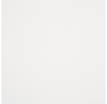 Hartschaumplatte Hobbycolor weiß 250 x 500 x 3 mm-thumb-0
