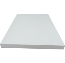 Regalboden weiß 19x250x1200 mm-thumb-2