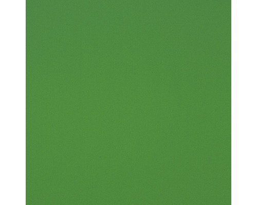 Hartschaumplatte Hobbycolor grün 250 x 500 x 3 mm