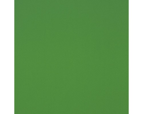Hartschaumplatte Hobbycolor grün 500 x 1250 x 3 mm Grüner Hintergrund