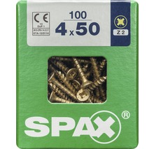 Packung mit einhundert Spaax Schrauben, Größe 4 x 50