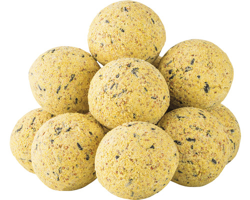 Eine Ansammlung von Meisenknödeln für Wildvögel