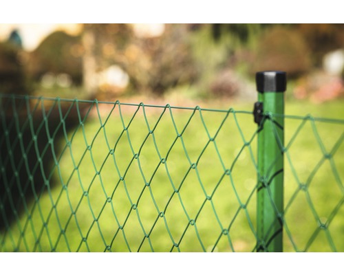 Detailaufnahme eines grünen Maschendrahtzauns mit Zaunpfosten im Garten