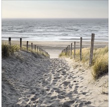 Weg zum Strand mit Sand, Pfosten und Meer