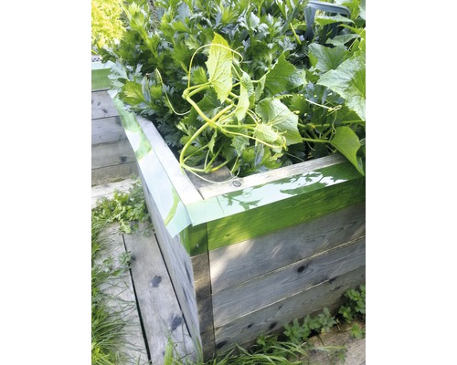 Hochbeet mit Gemüse und Pflanzen