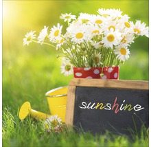 Szene im Garten mit Gänseblümchen in einem Topf, Gießkanne und Tafel mit der Aufschrift Sonnenschein
