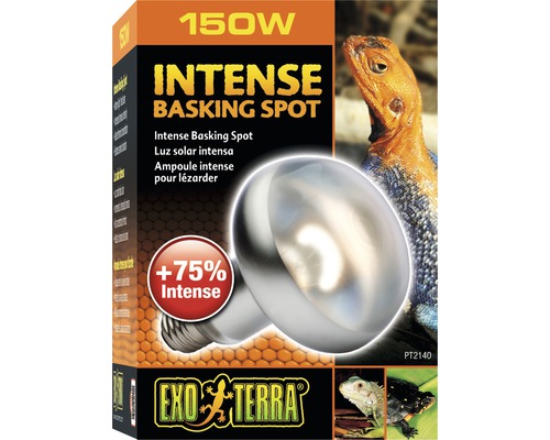 Exo Terra Intense Basking Spot 150 Watt im Karton