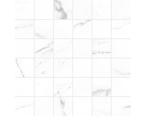 Feinsteinzeugmosaik Verona 30,0x30,0 cm weiß matt