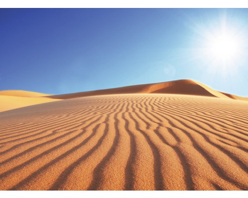 Fototapete Vlies 18318 Deserts Dune 7-tlg. 350 x 260 cm