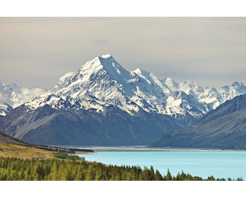 Fototapete Vlies 18319 Mount Cook and Pukaki Lake 7-tlg. 350 x 260 cm