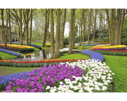 Fototapete Papier 97337 Tulips in Keukenhof Park 7-tlg. 350 x 260 cm