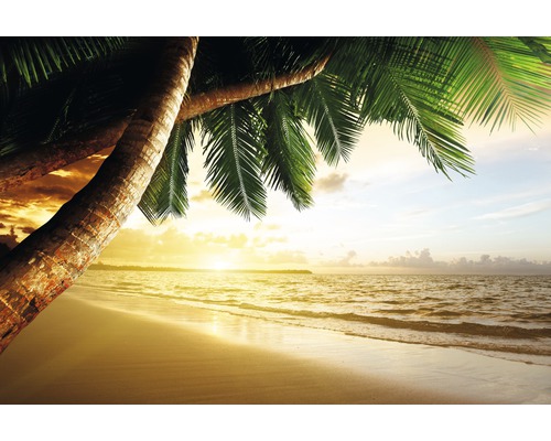 Fototapete Vlies 18348 Caribbean Beach Sunrise 7-tlg. 350 x 260 cm