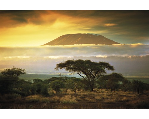 Fototapete Papier 97350 Mount Kilimanjaro and Clouds 7-tlg. 350 x 260 cm