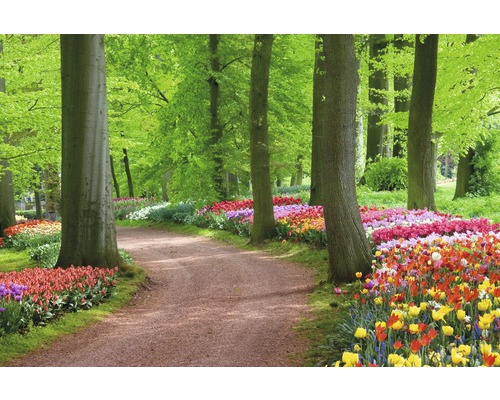 Fototapete Papier 97352 Tulips Spring Landscape 7-tlg. 350 x 260 cm
