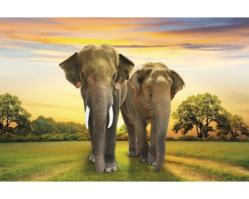 Fototapete Papier 97353 Elephants Family 7-tlg. 350 x 260 cm