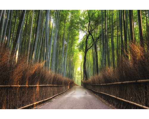 Fototapete Papier 97382 Bamboo Grove of Kyoto 7-tlg. 350 x 260 cm
