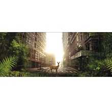 Glasbild Secret World 30x80 cm