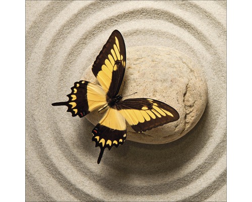 Glasbild Butterfly I 20x20 cm