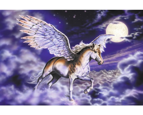 Fototapete Vlies 18415 Pegasus 7-tlg. 350 x 260 cm