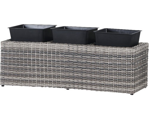 Pflanztisch aus Rattan mit drei Pflanzgefäßen