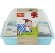 Siena Garden Zwergengarten-Saatset für eine Blumenwiese mit Klatschmohn, Vergissmeinnicht und Gänseblümchen