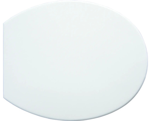 Toilettendeckel aus Duroplast