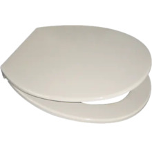 Toilettendeckel