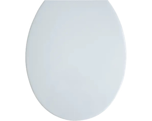 Toilettendeckel