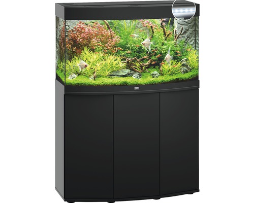 Komplettes Aquarium mit Unterschrank, Pflanzen und Fischen