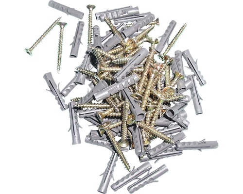 Spanplattenschrauben-Set 40 mm mit Dübel 6 mm, 100-teilig Dübel und Schrauben