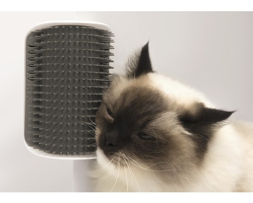 Bürste cat it Senses 2.0 Self Groomer mit Katzenminze