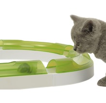 Eine Katze spielt mit einem Katzenspielzeug mit Ball