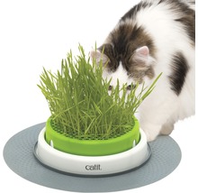 Grastopf cat it Senses 2.0 Grass Planter mit Abdeckgitter