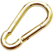 Karabinerhaken mit einer Tragfähigkeit von 300 Kilogramm