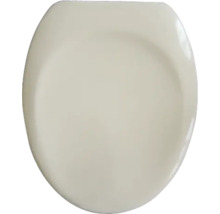 Toilettendeckel aus Kunststoff