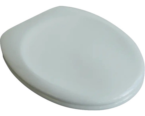 Toilettendeckel