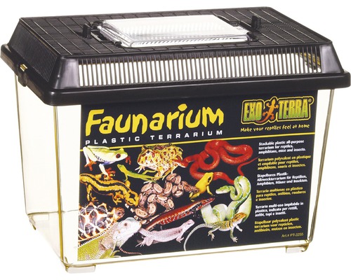 Faunarium Exo Terra 230 x 155 x 170 mm