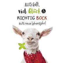 Grußkarte mit Ziege, Kleeblatt und dem Text Alles Gute, viel Glück und richtig Bock aufs neue Lebensjahr!
