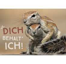 Zwei Erdhörnchen umarmen sich mit dem Text Dich behalt ich!