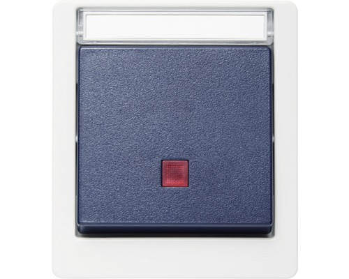 Kontrollschalter Roth Lange IP55 aufputz, grau/blau