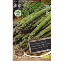 Spargel-Rhizom 'Vegalim' Bio