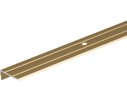 Treppenprofil Aluminium gold 24,5 x 10 , 1 m