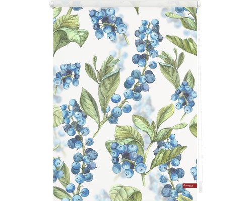 Rolladen mit Blaubeerenmuster für Fenster