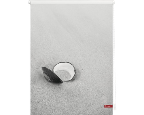 Rollo mit Muscheldruck für Fenster