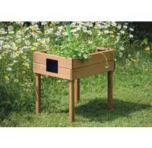 Hochbeet aus Holz mit Pflanzen im Garten