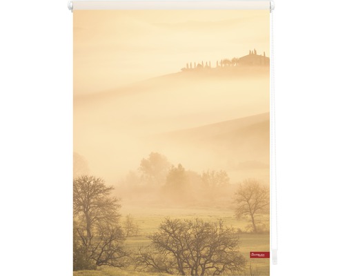 Rollo mit Landschaftsmotiv für Fensterdekoration